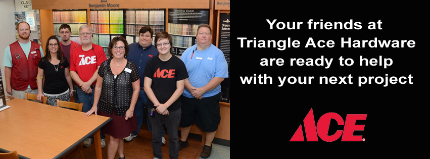 Ace Team