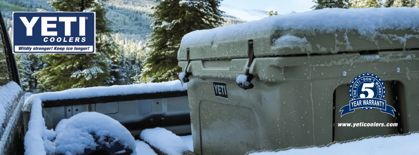 Yeti at Ace
